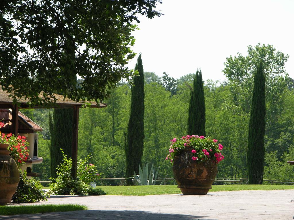 Podere Il Giurato Fauglia Extérieur photo