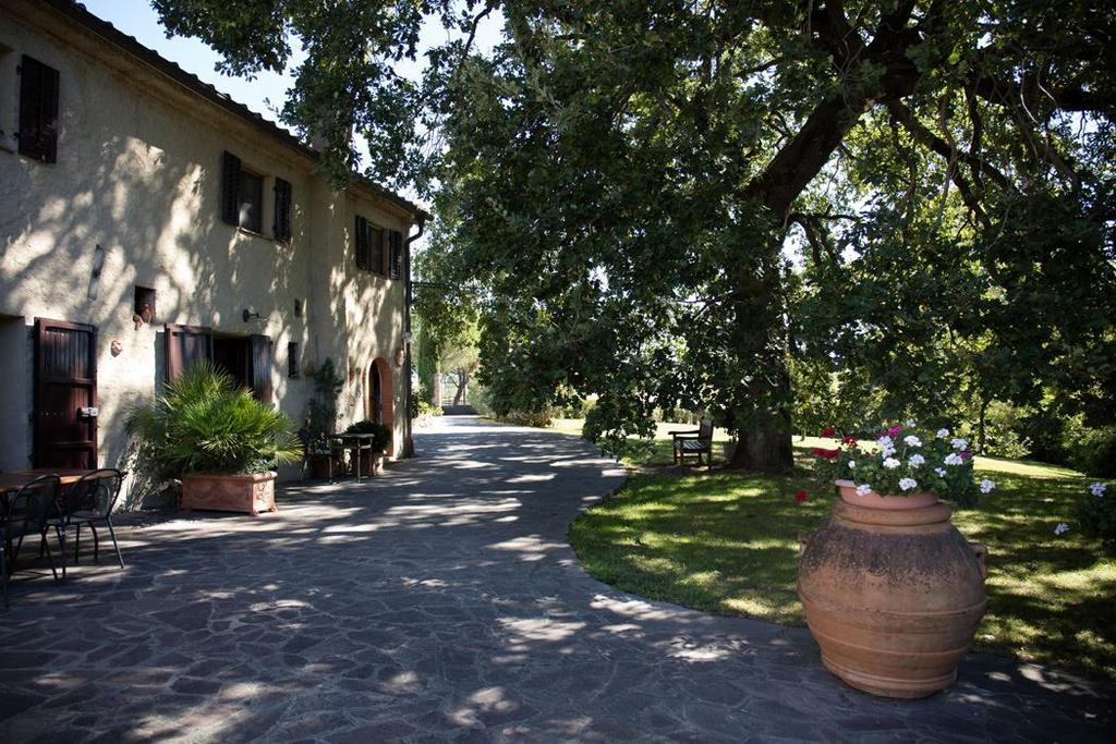 Podere Il Giurato Fauglia Extérieur photo